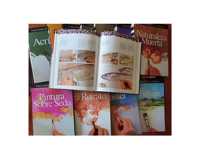 ENCICLOPEDIA 12 TOMOS CURSO DIBUJO Y PINTURA BUENA