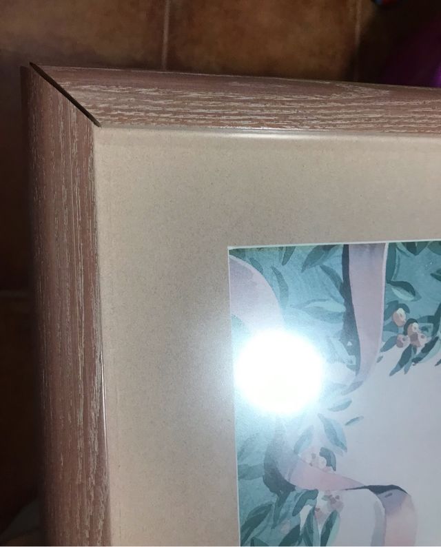 Dos laminas enmarcadas