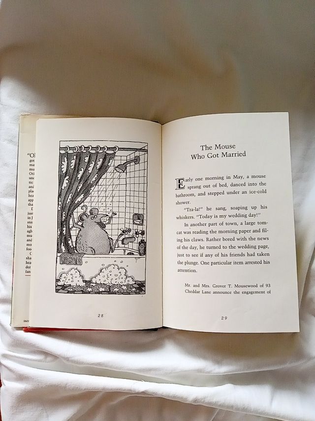 Libro en inglés