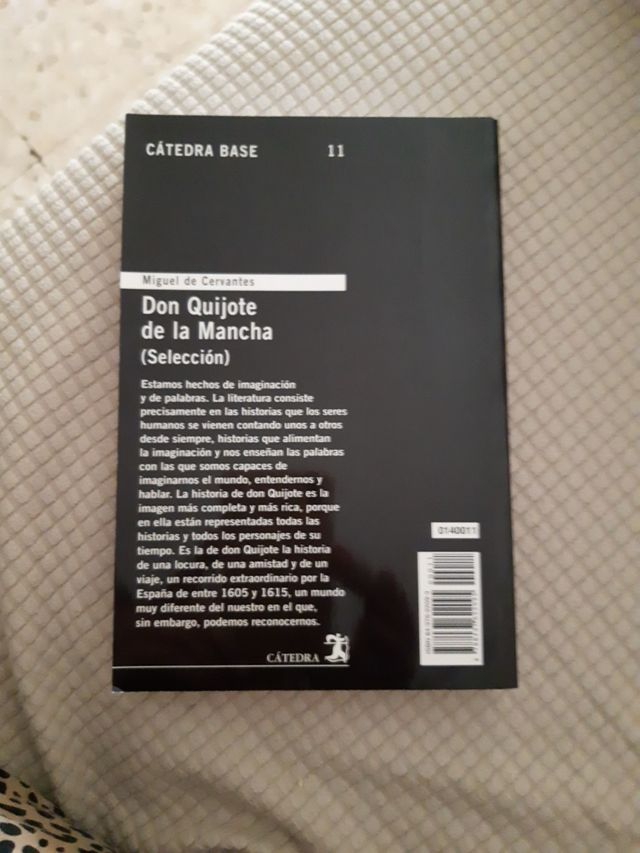 Don quijote de la mancha