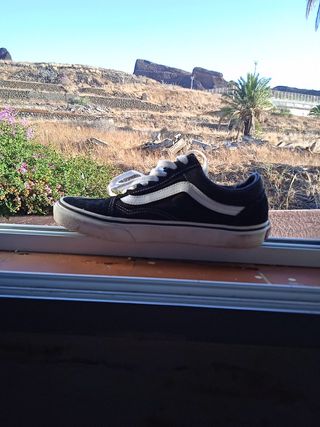 vans basicas