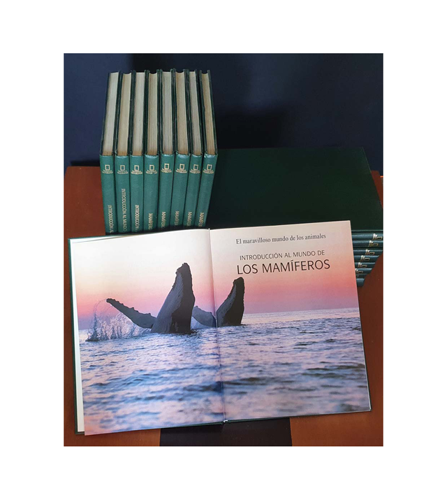 EL MARAVILLOSO MUNDO ANIMALES NATIONAL GEOGRAPHIC