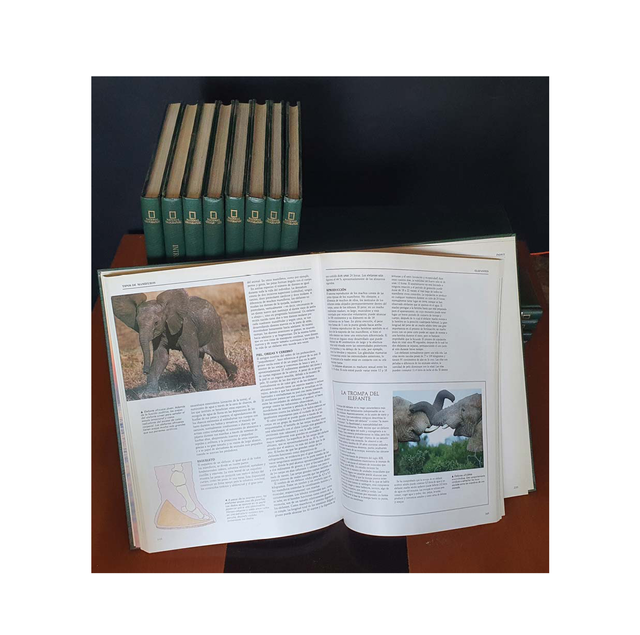 EL MARAVILLOSO MUNDO ANIMALES NATIONAL GEOGRAPHIC