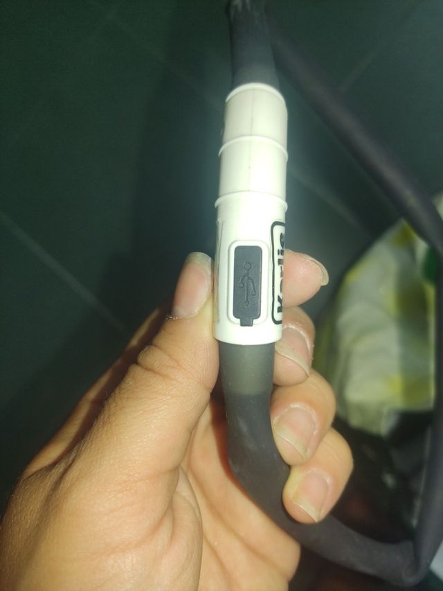 Collar con luces para mascotas