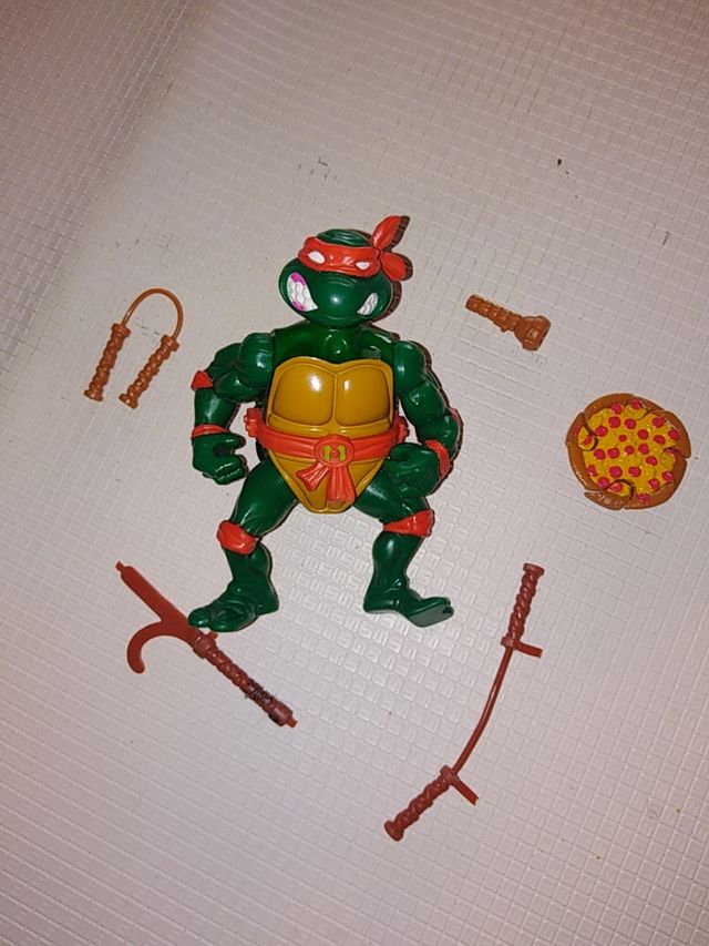 tortuga ninja