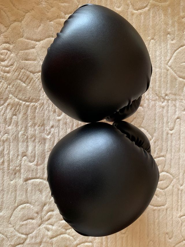 Guantes de boxeo Everlast