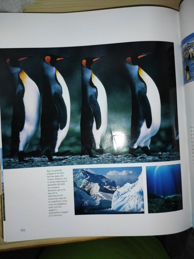 50 lugares de ensueño