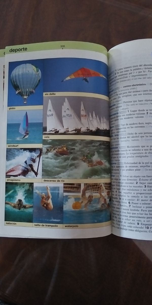 Diccionario escolar didáctico lengua española SM