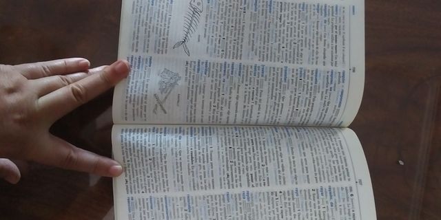 Diccionario escolar didáctico lengua española SM