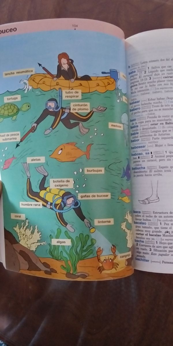 Diccionario escolar didáctico lengua española SM