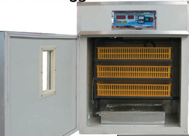 incubadora 440 huevos y mas