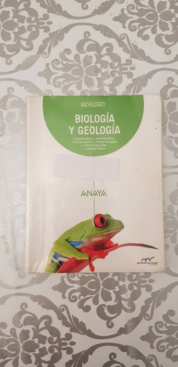 LIBRI DEL PRIMO ANNO DEL LICEO (15€ CIASCUNO)