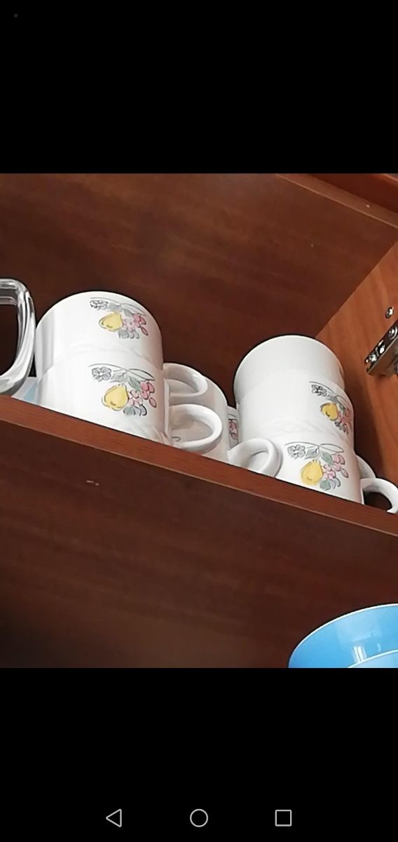 6 tazze da tè oppure cappuccino