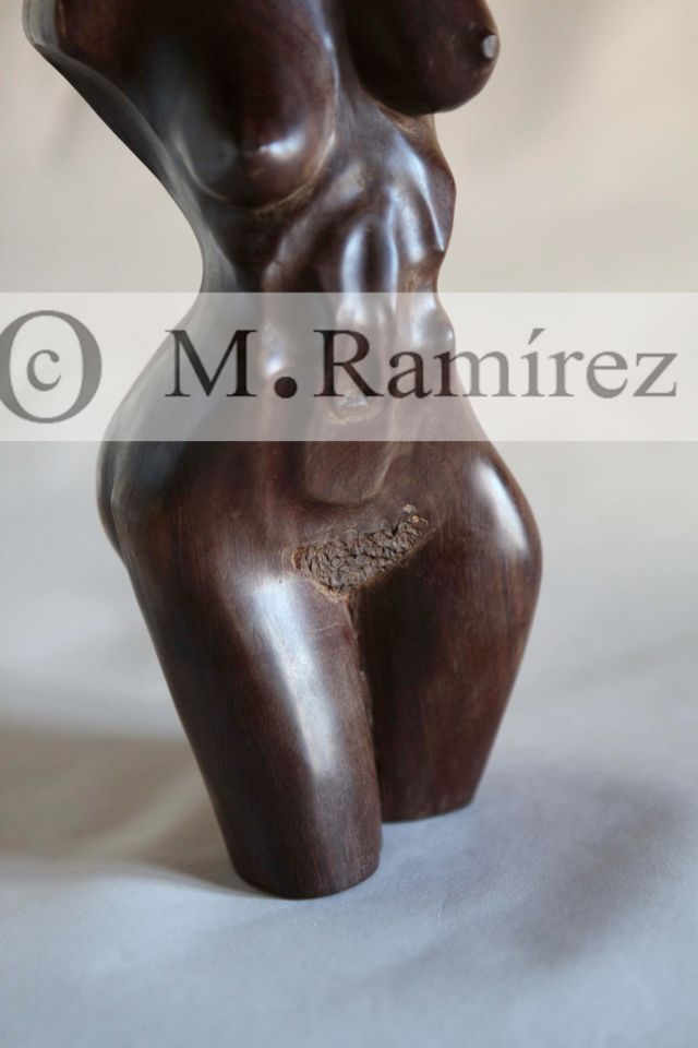 Busto de mujer -tallado en madera-