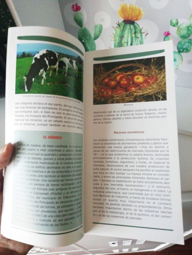 GUÍA BÁSICA DE ASTURIAS LIBRO NUEVO