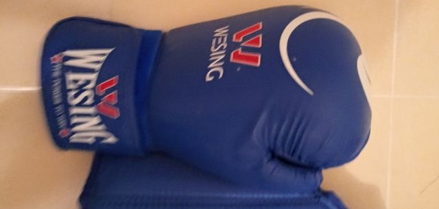 artes marcialesguantes casco pechera espinilleras