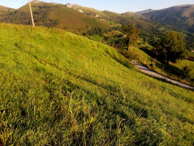 Terreno en venta