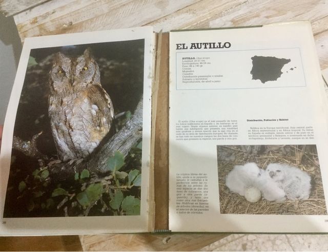 Las Rapaces ibéricas, libro