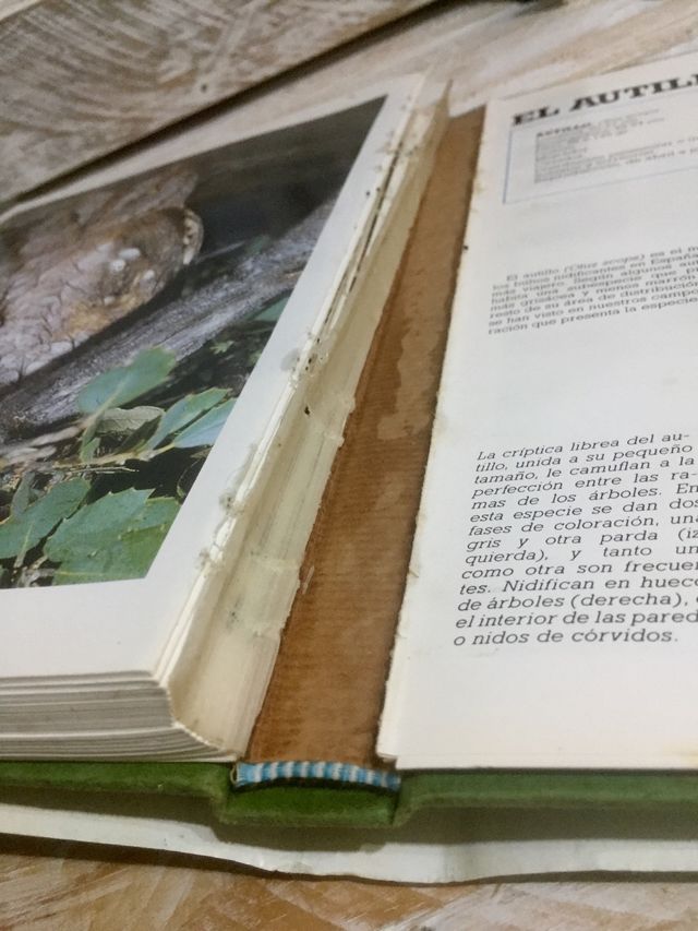 Las Rapaces ibéricas, libro