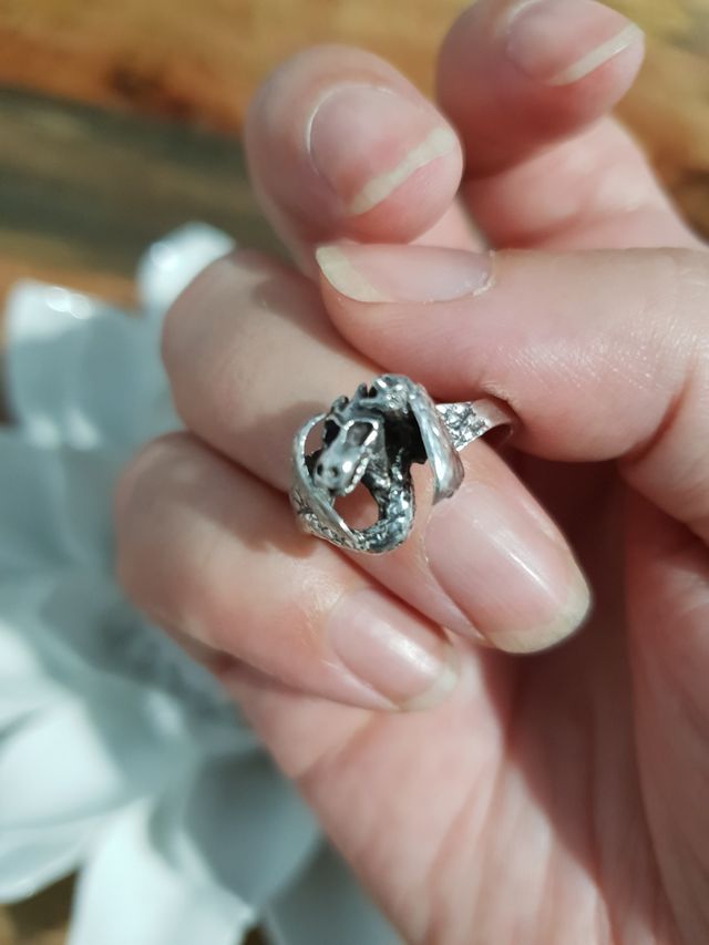 Anillo de plata con forma de Dragón