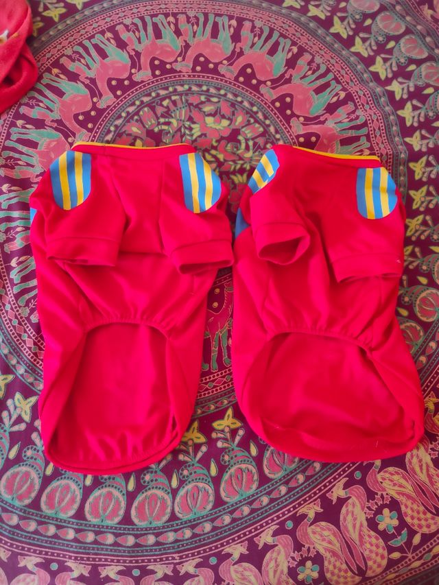 camisetas futbol españa para perros