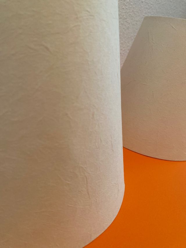 2 lámparas de mesa con tulipas.