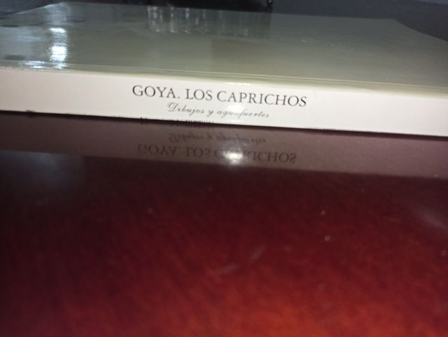 Libro Los Caprichos de Goya