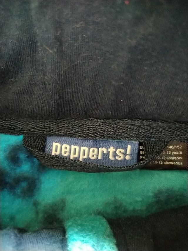 Conjunto polar 10/11 años