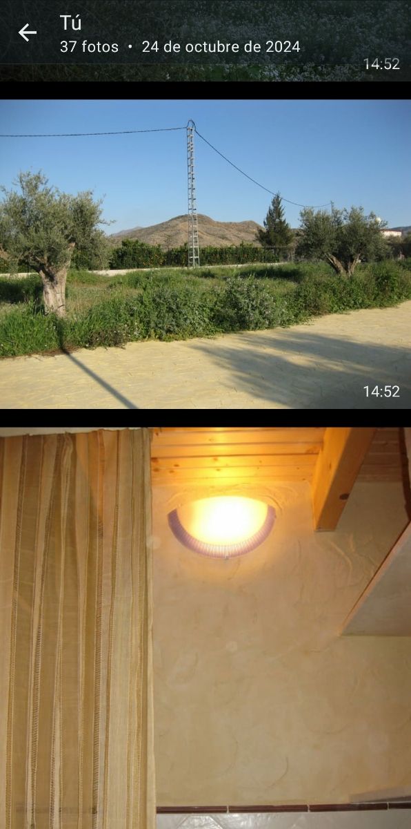 Chalet con parcela de 5000 metros cuadrados.