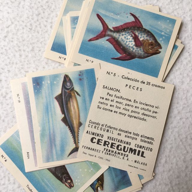 Colección completa de Peces de Ceregumil