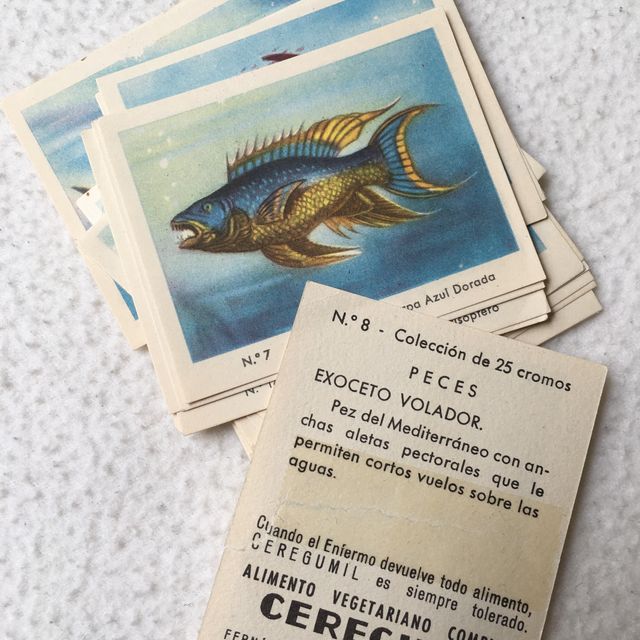 Colección completa de Peces de Ceregumil