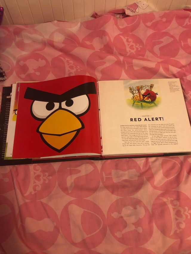 Libro Angry  birds hatching a universe