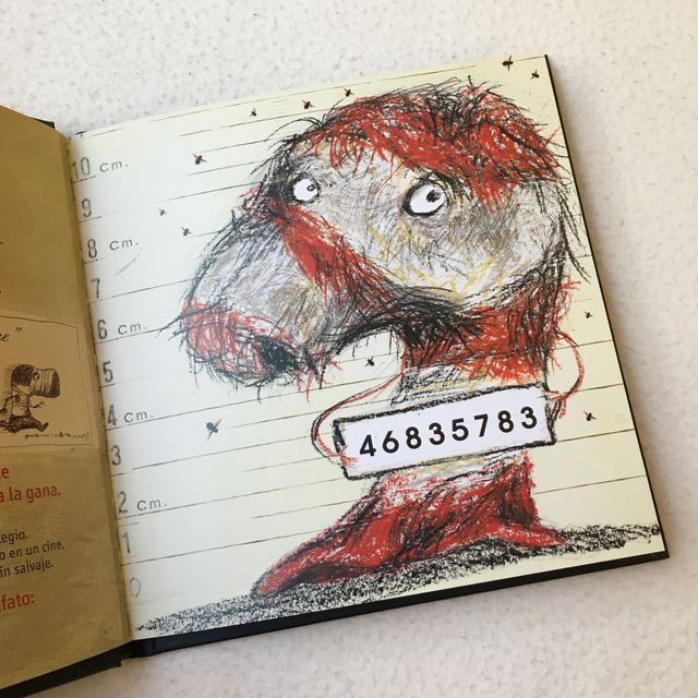 Manual de calcetines salvajes -Pablo Prestifilippo