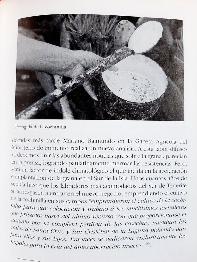 LA GRANA, DE LA RIQUEZA A LA RUINA.