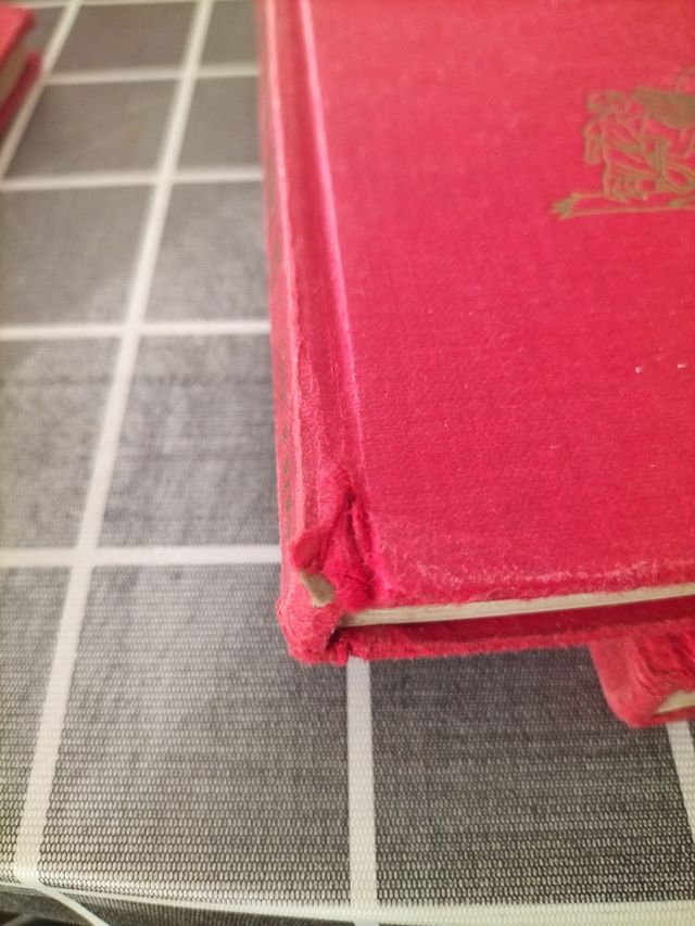 La biblia de los niños