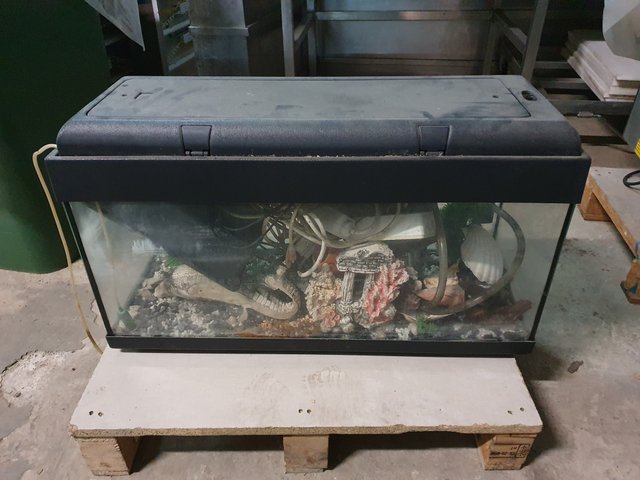 acuario
