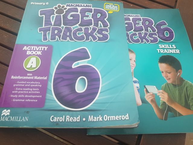 libro ACTIVITY BOOK 6 PRIMARIA