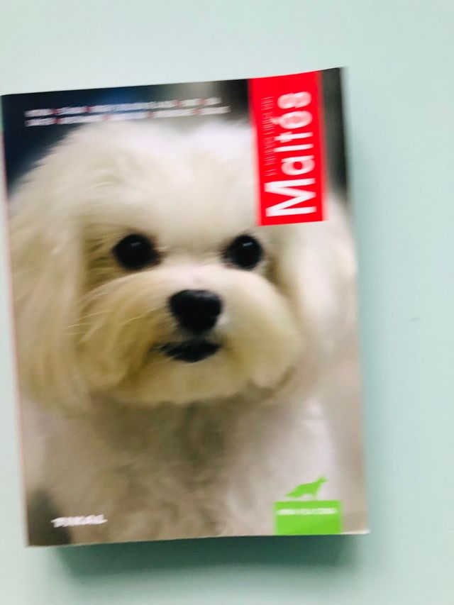 El nuevo libro de maltés Tikal 	‎978-8430536863