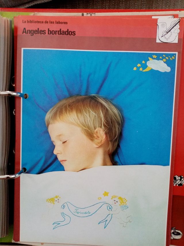 La biblioteca de las labores. Ideas y consejos