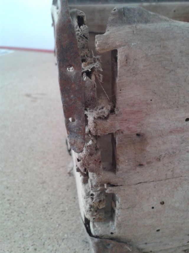 cuartilla y rasero -estado original-