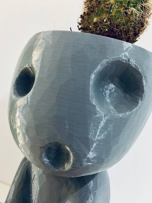 Maceta de espíritu Kodama