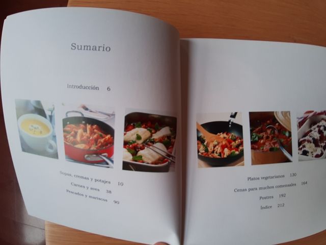 Libro de recetas 101 sabrosos platos únicos