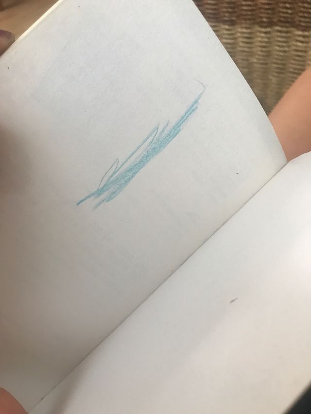 Il mistero della Casa del Palomar