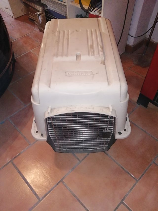 artículos de mi perro