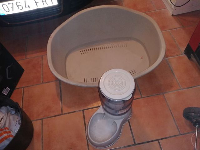 artículos de mi perro