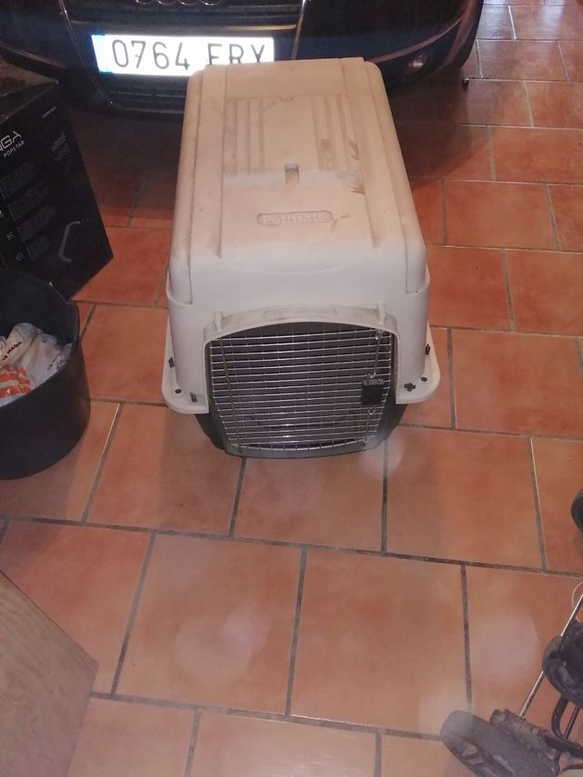 artículos de mi perro