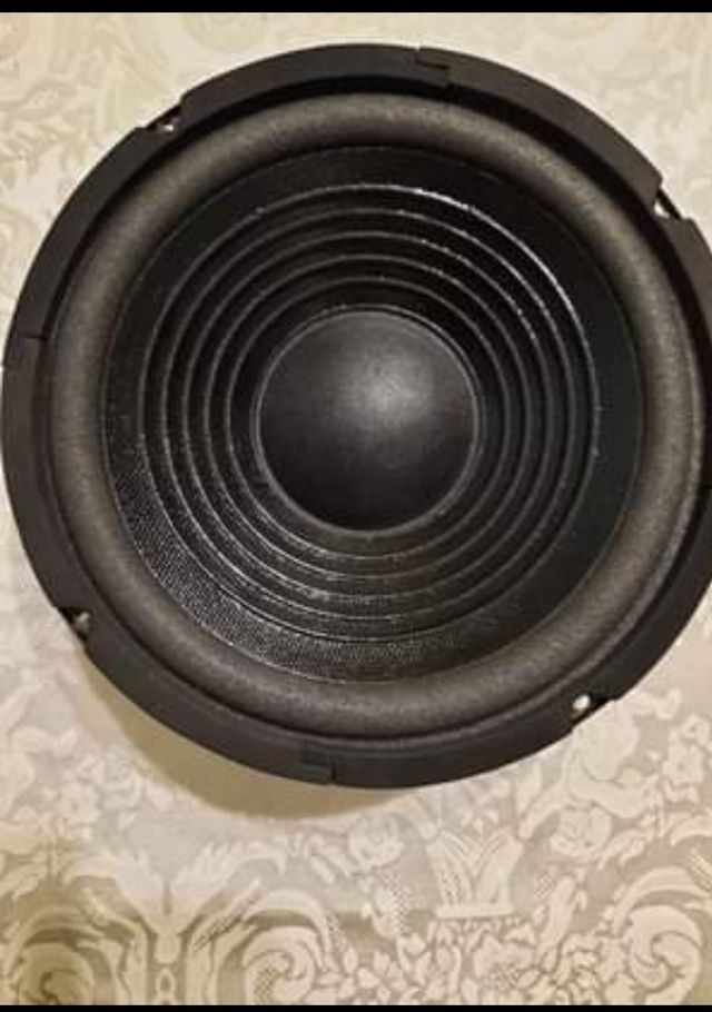 woofer 100 w