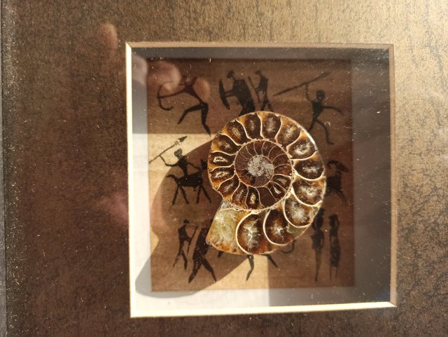 2 Marcos con 2 AMMONITES reales.