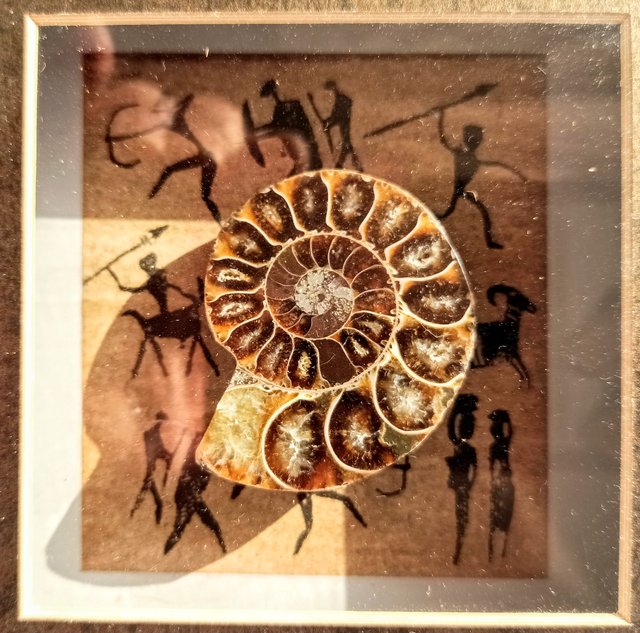 2 Marcos con 2 AMMONITES reales.