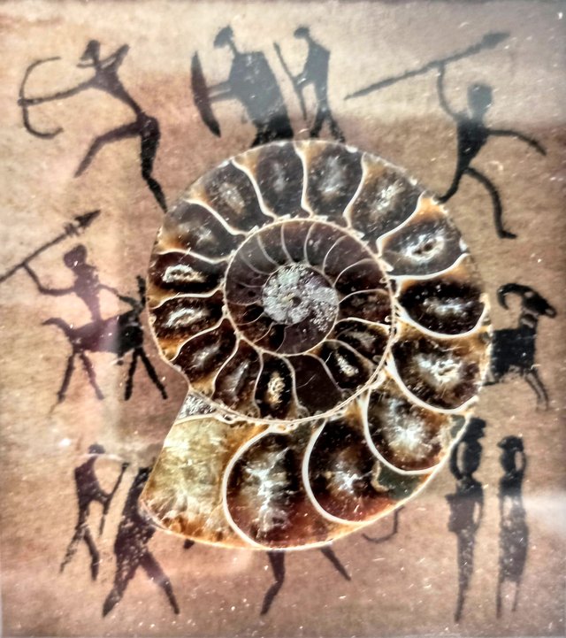 2 Marcos con 2 AMMONITES reales.